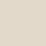 Pantone 12-0304 TPX Whitecap Gray