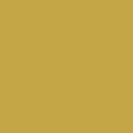 Pantone 15-0743 TPX Oil Yellow