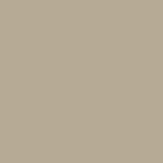 Pantone 15-1306 TPX Oxford Tan