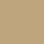 Pantone 16-0924 TPX Croissant