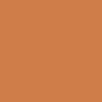 Pantone 16-1443 TPX Apricot Buff