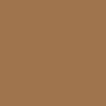 Pantone 17-1134 TPX Brown Sugar