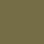 Pantone 18-0622 TPX Olive Drab