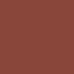 Pantone 19-1245 TPX Arabian Spice